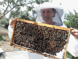 Bee Tour